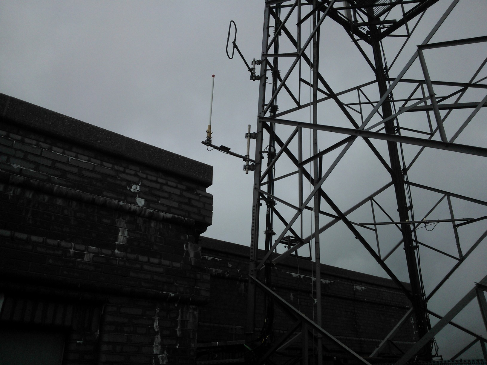 New Antenna in Temporary Location